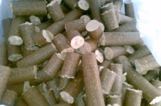 27082010003-500x375 27082010003-500x375