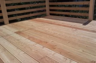 SNC00337-666x500 SNC00337-666x500