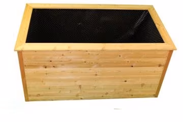 visoka greda sibirski macesen 1 visoka greda sibirski macesen 1